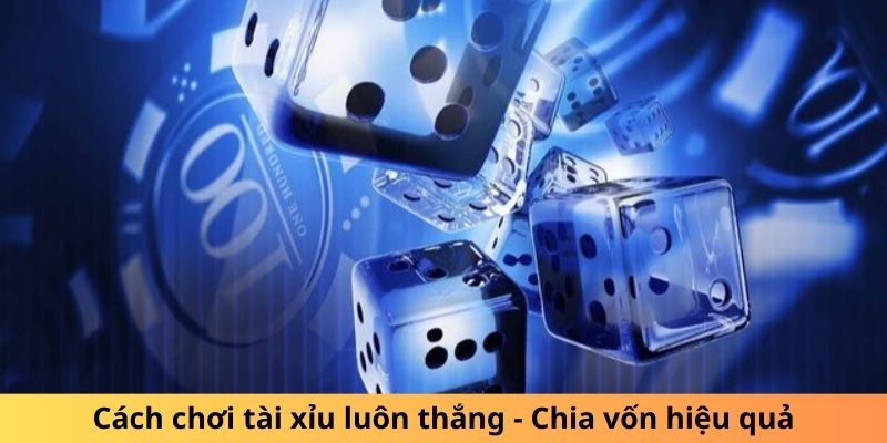 Cách Chơi Tài Xỉu Luôn Thắng - Cẩm Nang Newbie Toàn Tập 5 Phân bổ vốn một cách hiệu quả